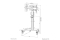 Neomounts BOS 32-75 1TFT schwarz Max.70KG