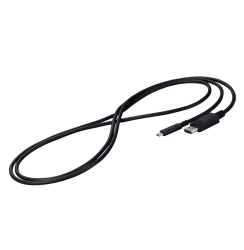 Eizo Kabel USB-C -> DisplayPort Signal Kabel 2m black