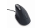 gembird Ergonomische Maus WIRED USB mit 6 Tasten spacegrey