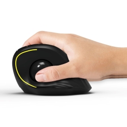 Port Maus ergonomisch Trackball kabellos Bluetooth