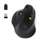 Port Maus ergonomisch Trackball kabellos Bluetooth