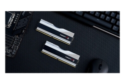 DDR5 32GB PC 8000 CL38 G.Skill KIT (2x16GB) 32-TZ5RS