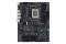ASUS PRO WS W680-ACE (INTEL,1700,DDR5,ATX,ECC)