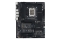 ASUS PRO WS W680-ACE (INTEL,1700,DDR5,ATX,ECC)