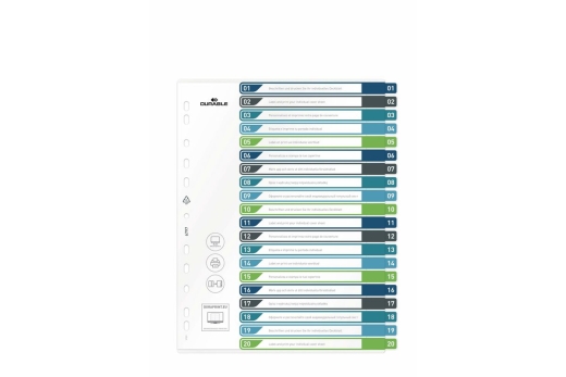 DURABLE Register A4 + 20tlg. 1-20 farbige Taben+trans. Form.