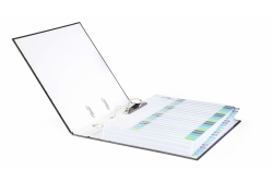 DURABLE Register A4 + 20tlg. 1-20 farbige Taben+trans. Form.