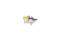 GENIE Geldschein Quicktester 5er Pack