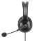 MANHATTAN Mono USB-Headset links / rechts tragbar 2m Kabel