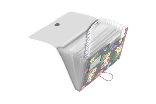 Herlitz Fächermappe PP 12F Ladylike Butrfl.
