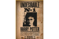 ThumbsUp! Puzzle Harry Potter Wanted No.1 50Teile