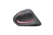 Speedlink Maus PIAVO PRO, Illuminated Rechargeable Vertical retail