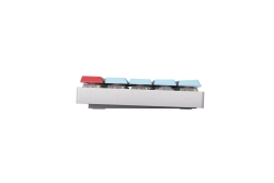 CHERRY XTRFY MX-LP 2.1 COMPACT Wireless Tastatur RGB DE...