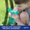 sistema Trinkflasche Hydrate Quick Flip 520 ml 1 Stück