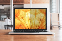 3M Bright Screen Blickschutzf. 15,6 Laptop (16:9) BP156W9E