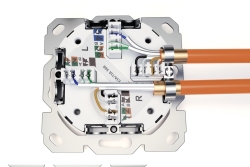 DIGITUS Netzwerkdose CAT 6A EA geschirmt 2xRJ45 weiß