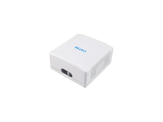 Equip Aufputzdose Cat6A 2-Port 2x RJ45 UTP RAL 9010 ws Polybeutel