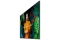 Samsung Smart Signage QM65C 163,00cm(65) (Speditionsversand)
