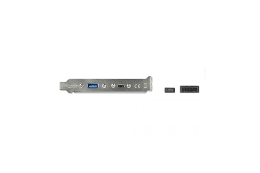DELOCK USB 3.1 Slotblech mit 1x USB-C und 1x USB-A Port