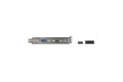 DELOCK USB 3.1 Slotblech mit 1x USB-C und 1x USB-A Port