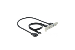 DELOCK USB 3.1 Slotblech mit 1x USB-C und 1x USB-A Port