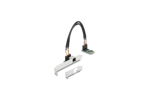 DELOCK Konverter M.2 Key B+M 1 x RJ45 2,5 Gigabit LAN
