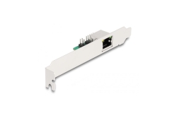 DELOCK Konverter M.2 Key B+M 1 x RJ45 2,5 Gigabit LAN