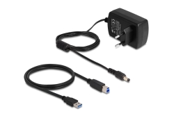 DELOCK USB Dual Dockingstation für 2 x SATA HDD / SSD