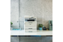 Brother Papierzuführung LT-310CL (250Blatt)