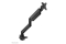 Neomounts TIS 17-49 1TFT 1Gelenk schw. Max.18KG