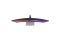 ASUS ProArt PA34VCNV 86.7cm (21:9) UWQHD HDMI DP