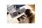 Kensington Dockingstation SD4781p USB-C/A Dual 4K