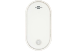 Brennenstuhl Ovalleuchte OL 1650 P