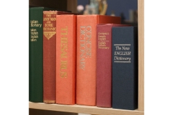 Mad Monkey - Bücher Tresor mit Schlüssel