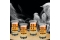 Mad Monkey - Shotgläser mit Alkohol-Formel (4er Set)