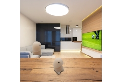 Mad Monkey - Anti-Stress-Ball Worlds Smallest Willy