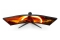 AOC 86,4cm (34) CU34G2XP/BK 21:09 2xHDMI+2xDP+USB Curved retail