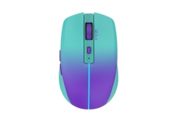 INCA Wrls Maus 1600DPI/2xBT5.1/6Tasten/LED/2.4GHzUSB-C