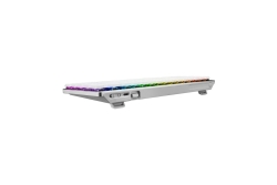 ASUS TASTATUR ROG FALCHION RX LOW PROFILE