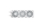 Gigabyte AORUS Waterforce II 360I