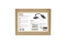 CONCEPTRONIC PCIe1x Card 4xRS232-Seriell 115200bps