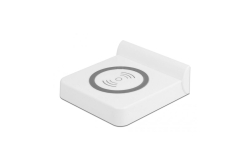 DELOCK Kabelloses Ladegerät für 41450