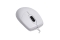 Contour ACTIVE KEY MMS AK-PMJ1 Corded weiß IP68