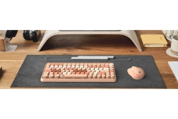 KeySonic Mini-TAS-Set mit Maus, beige, KSKM-5200M-RF (DE)