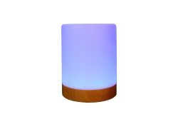 RealPower Ambiente Light 200,RGB mit Fernbedienung