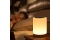 RealPower Ambiente Light 200,RGB mit Fernbedienung