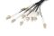 DIGITUS LWL Patchkabel LC->UPC 30m Vorkonfektioniert OM4 12