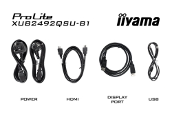 IIYAMA 60,5cm (23,8) XUB2492QSU-B1 16:9 HDMI+DP+USB Lift retail