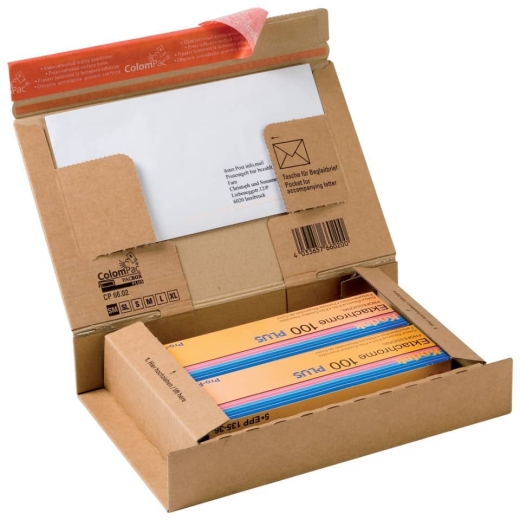 Paket Versandkarton 262 x 165 x 50 mm, braun