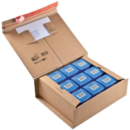 Paket Versandkarton 385 x 315 x 130 mm, braun