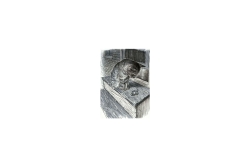FABER-CASTELL Tuschest. Pitt Artist Pen Grey&Black 8er